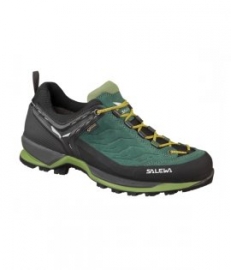 Salewa boty MS MTN Trainer GTX